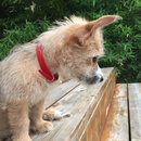 Week 2 with Atti (618108)