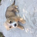 Week 2 with Atti (618075)