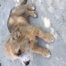 Week 2 with Atti (618077)