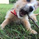 Week 2 with Atti (618191)