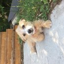 Week 2 with Atti (618219)