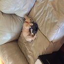 Week 2 with Atti (618094)