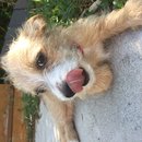 Week 2 with Atti (618166)