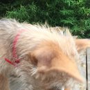 Week 2 with Atti (618141)