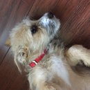 Week 2 with Atti (618083)