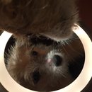 More Random Atti Pics (619688)