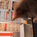 Atti at Whataburger (619615)