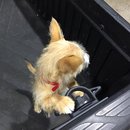 More Random Atti Pics (619583)