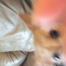 East Austin Hippie Trailer (619675)