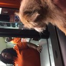 Atti at Whataburger (619694)