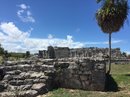 Exploring Tulum (619647)