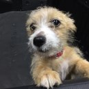 More Random Atti Pics (619564)