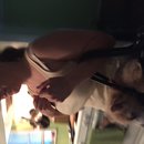 East Austin Hippie Trailer (619638)