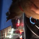 Atti at Whataburger (619549)