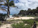 Exploring Tulum (619591)