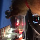 Atti at Whataburger (619495)