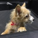 More Random Atti Pics