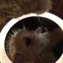 More Random Atti Pics (619561)