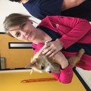 Atti's First Vet Visit (619635)