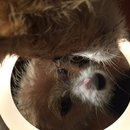 More Random Atti Pics (619636)