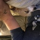 More Random Atti Pics (619557)