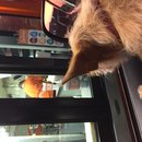 Atti at Whataburger (619655)