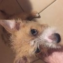 More Random Atti Pics (619513)