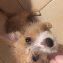 More Random Atti Pics (619542)