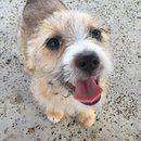 Leftover Random iPhone Pics (619487)