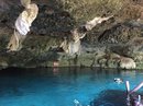 Dos Ojos Cenote