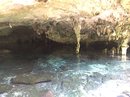 Dos Ojos Cenote (619588)