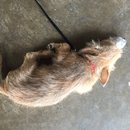 New Atti Pics (619628)