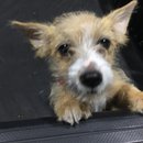 More Random Atti Pics (619654)