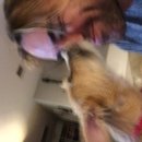 New Atti Pics (619712)