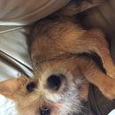 East Austin Hippie Trailer (619784)