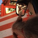 Atti at Whataburger (619745)