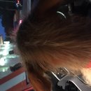 Atti at Whataburger (619800)