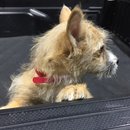 More Random Atti Pics (619799)