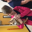 Atti's First Vet Visit (619755)