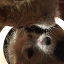 More Random Atti Pics (619731)