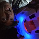 Visiting Akumal with Amy (619821)