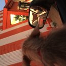 Atti at Whataburger (619840)