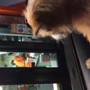 Atti at Whataburger (619857)