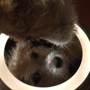 More Random Atti Pics (619732)