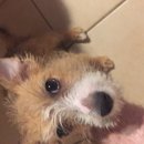 More Random Atti Pics (619870)