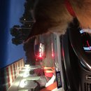 Atti at Whataburger (619837)