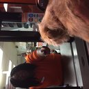 Atti at Whataburger (619843)