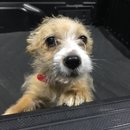 More Random Atti Pics (619791)