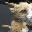 More Random Atti Pics (619847)