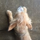 New Atti Pics (619766)